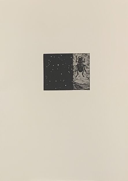 Vija Celmins, ‘Night sky/Beetle’, 1990