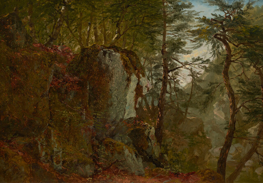 Wooded Landscape with Boulders