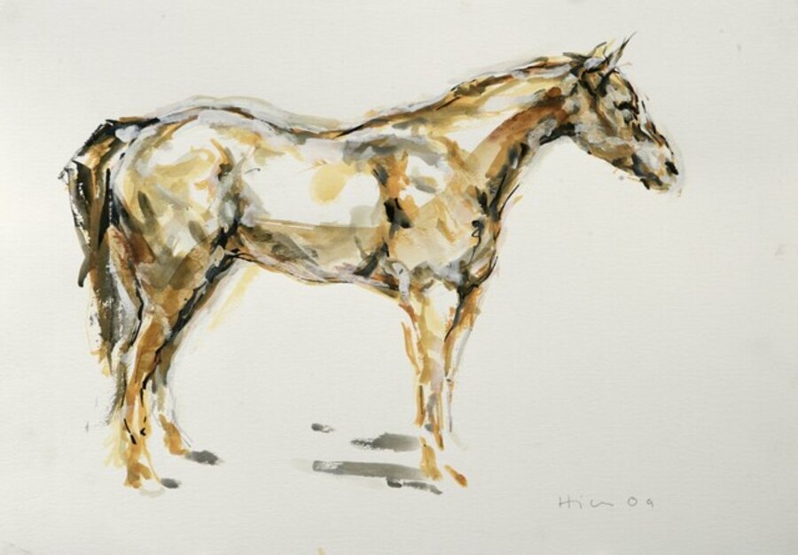 Horse (1)