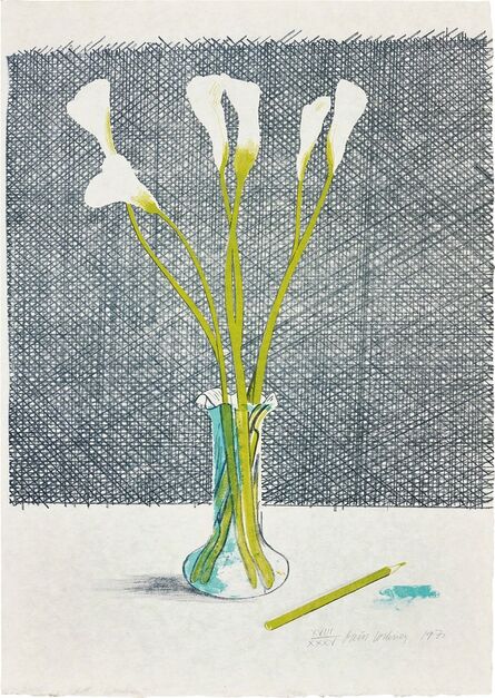David Hockney, ‘Lillies, from Europäische Graphik No VII’, 1971