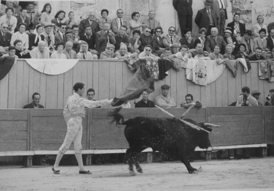 Picasso Bullfight