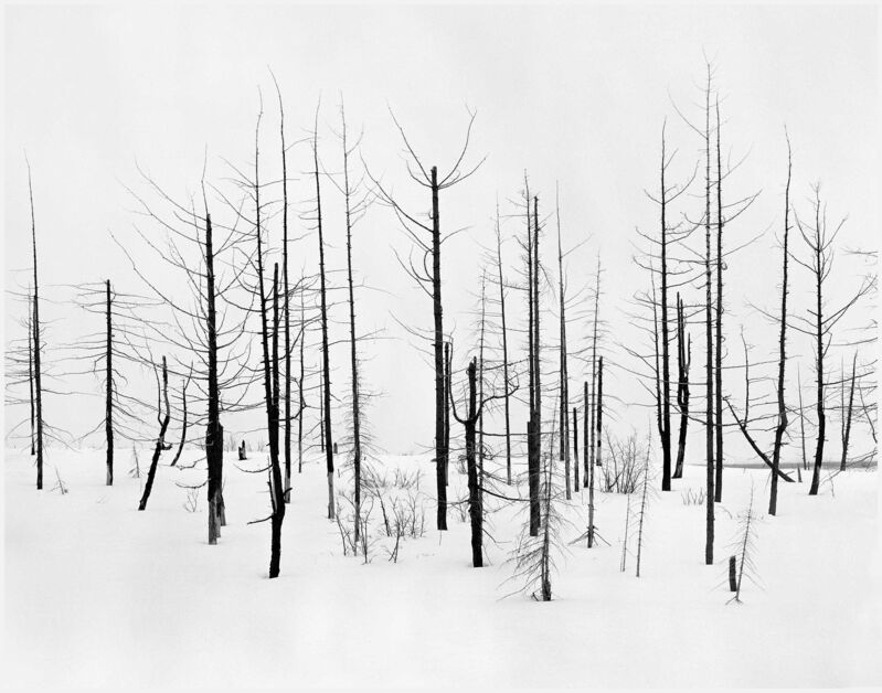 Darren Almond, ‘69th Parallel 2’, 2005, Photography, Gelatin silver print mounted on aluminum in artist's frame, Matthew Marks Gallery
