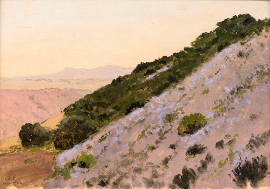 Flowered Hillside, California