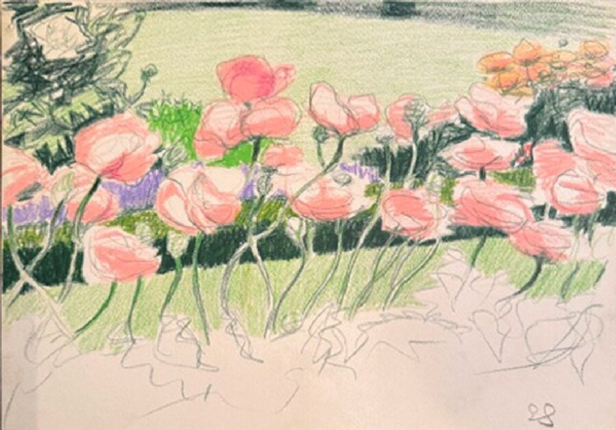 Pink Flowers