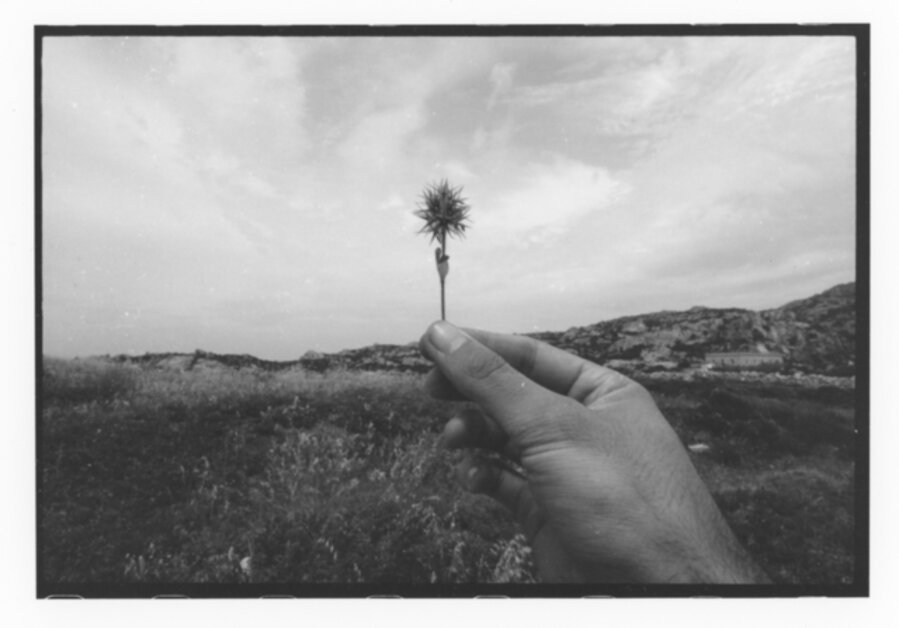 Sardegna, 1974