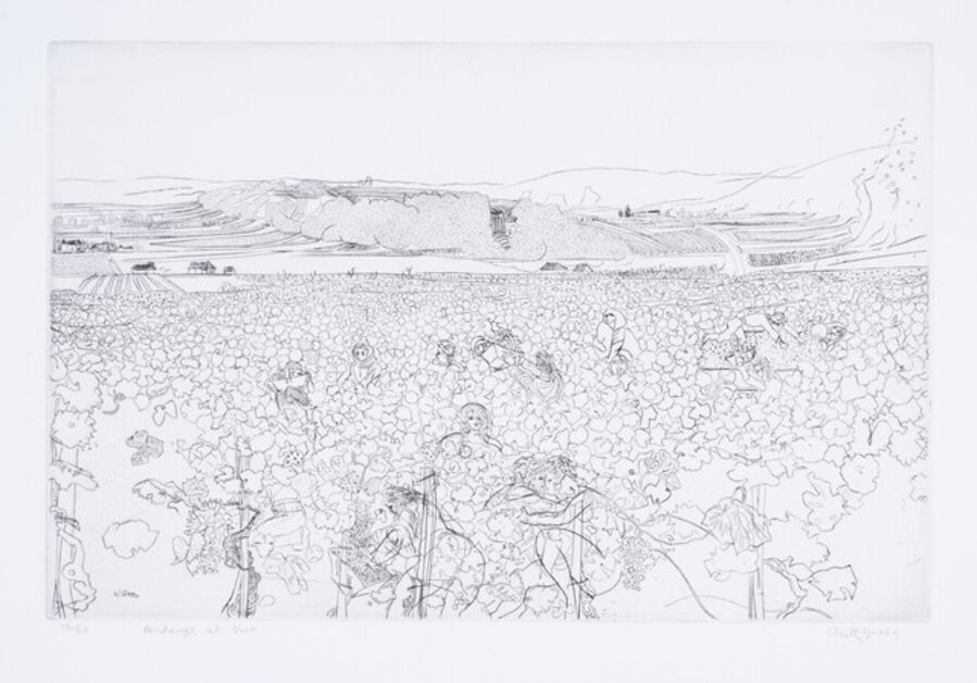 Vendanges at Vire (Herdman 7411)