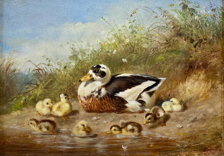Duck and Ducklings