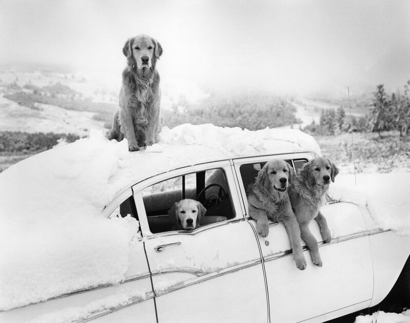 Bruce Weber, ‘Summer Snow Storm, Little Bear Ranch, Montana’, 1994, Photography, Gelatin Silver Print, Staley-Wise Gallery