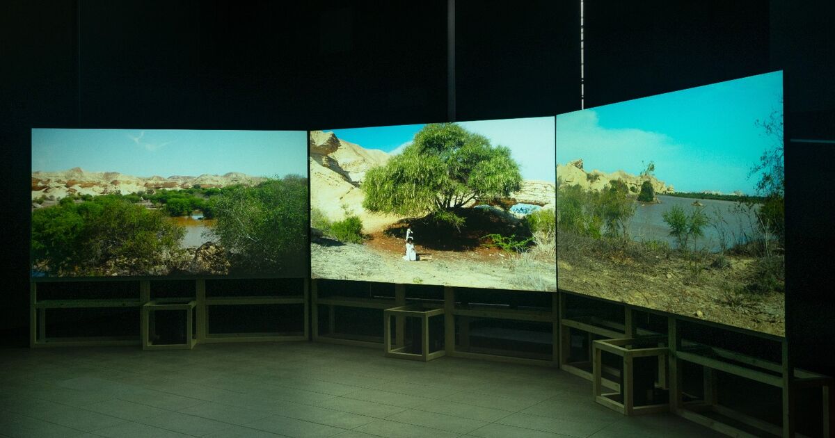 How to Buy Video Art