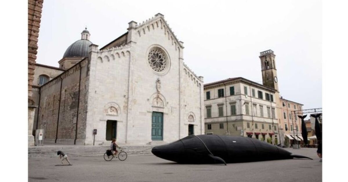 Stefano Bombardieri - Biography, Shows, Articles & More | Artsy