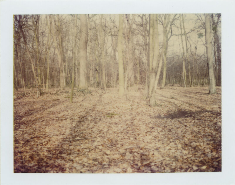Stefanie Schneider, ‘Bois de Bologne (Paris) ’, 1995, Photography, Analog C-Print based on a Polaroid, hand-printed by the artist on Fuji Crystal Archive Paper. Not mounted., Instantdreams
