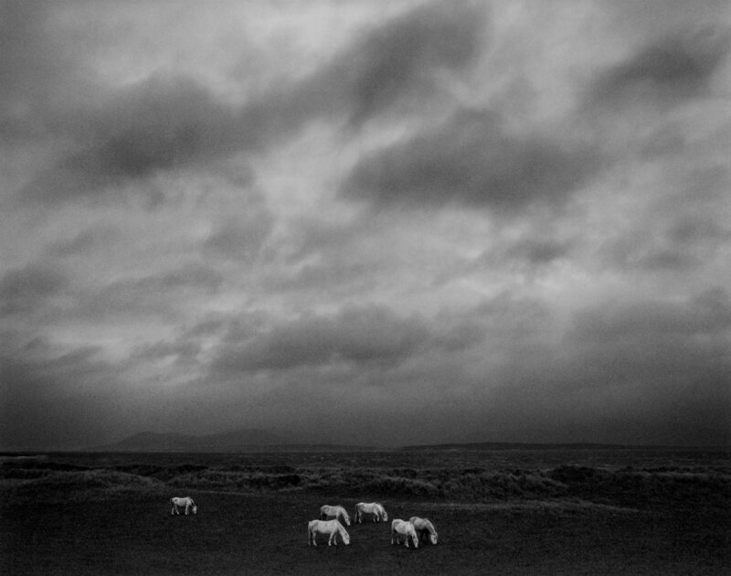 Pentti Sammallahti, ‘Outer Hebrides, Scotland’, 2008, Photography, Gelatin silver print, Etherton Gallery