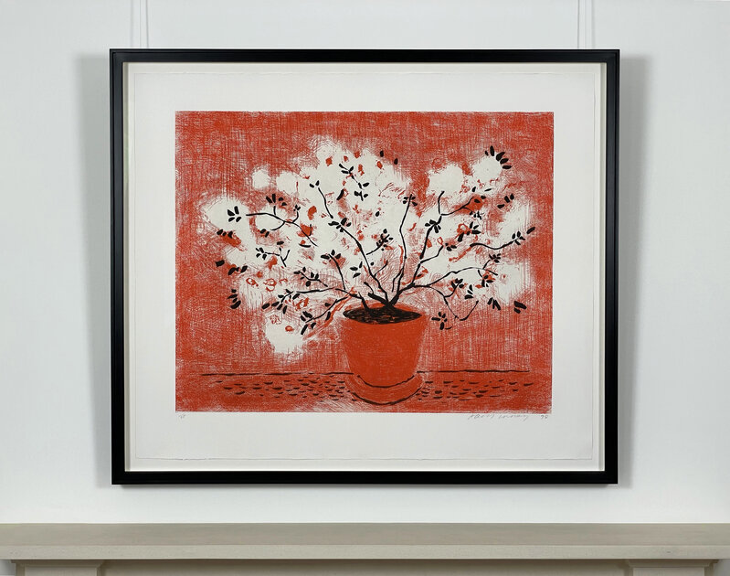 David Hockney, ‘Red Wire Plant’, 1998, Print, Etching and aquatint in red and black on Somerset paper, ARCHEUS/POST-MODERN