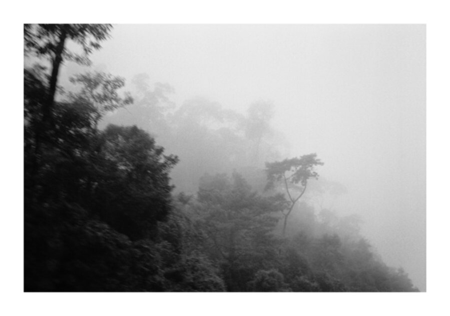 Neblina (Fog)