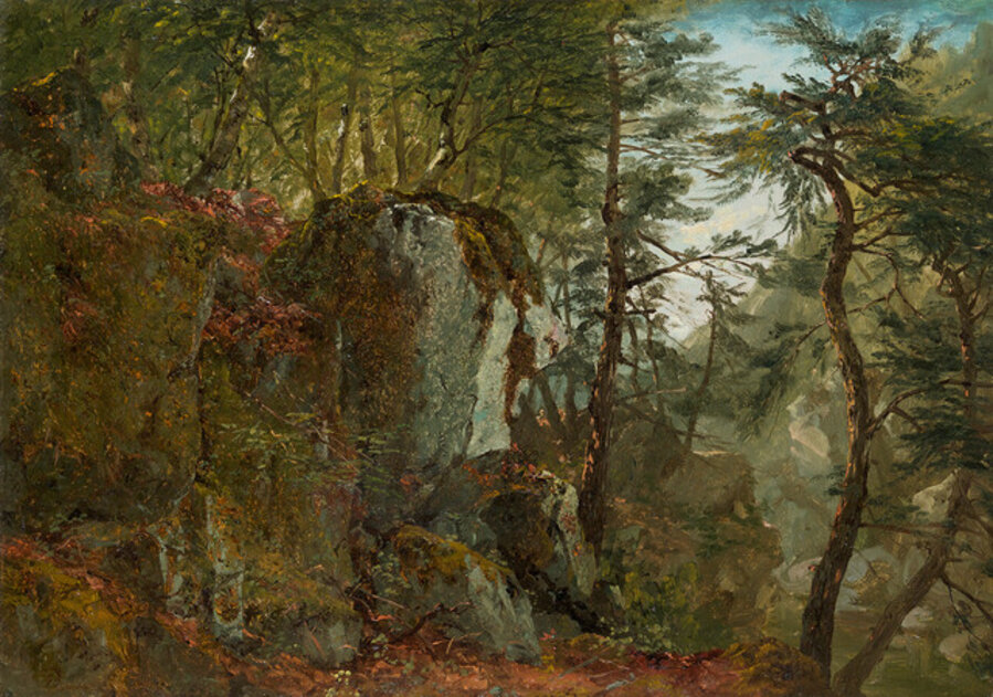 Wooded Landscape with Boulders