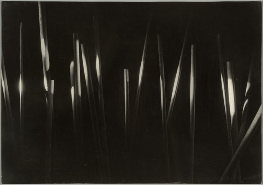Light Experiment: Wooden Dowels