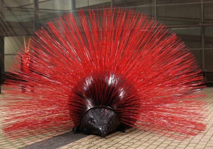Hedgehog