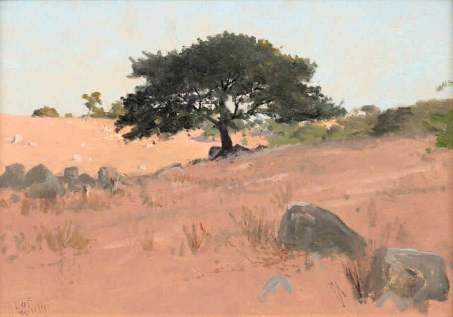 Landscape with Tree, Santa Barbara