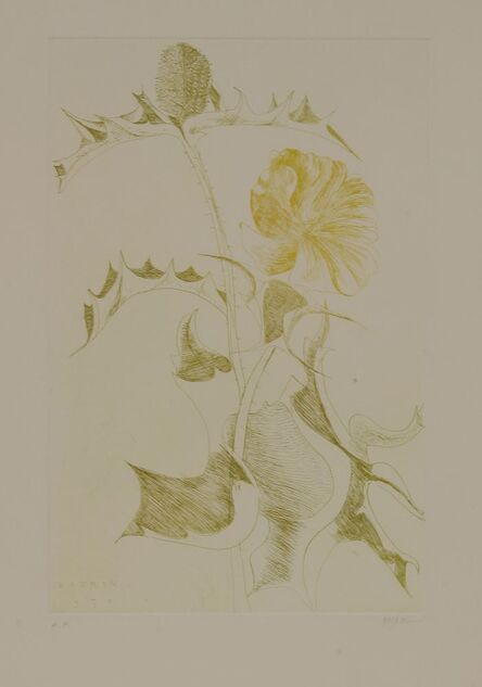 Leonard Baskin, ‘Thistle and Yellow Flower Red Flower’, 1970