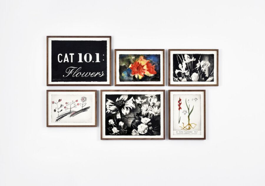 (CAT 10.1 : Flowers)