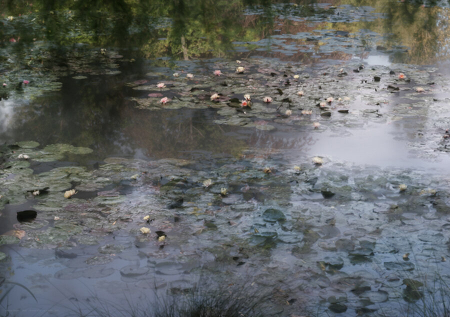Giverny (12.6. - 30.8.2016)