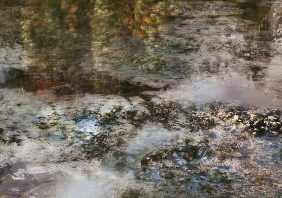 Giverny (7.7. - 31.10.2016)