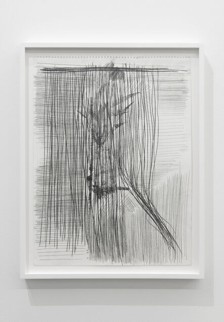 Derek Liddington, ‘Plant study behind closed window and shut blinds’, 2015