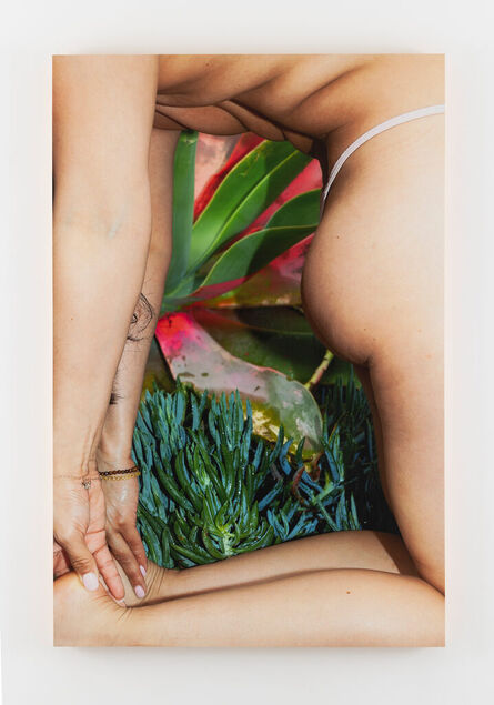 Erin Desmond, ‘Opening V (Succulent & Butterfly)’, 2023