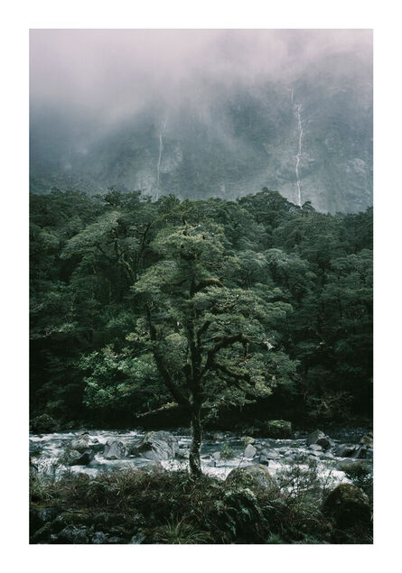 Bernhard Quade, ‘Milford Pass Tree, New Zealand’, 2015
