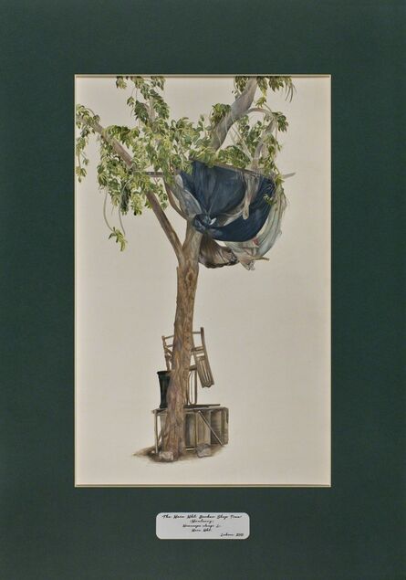 David Chalmers Alesworth, ‘Trees of Pakistan - The Main Mkt. Barber Shop Tree, Maulsary’, 2013-2014