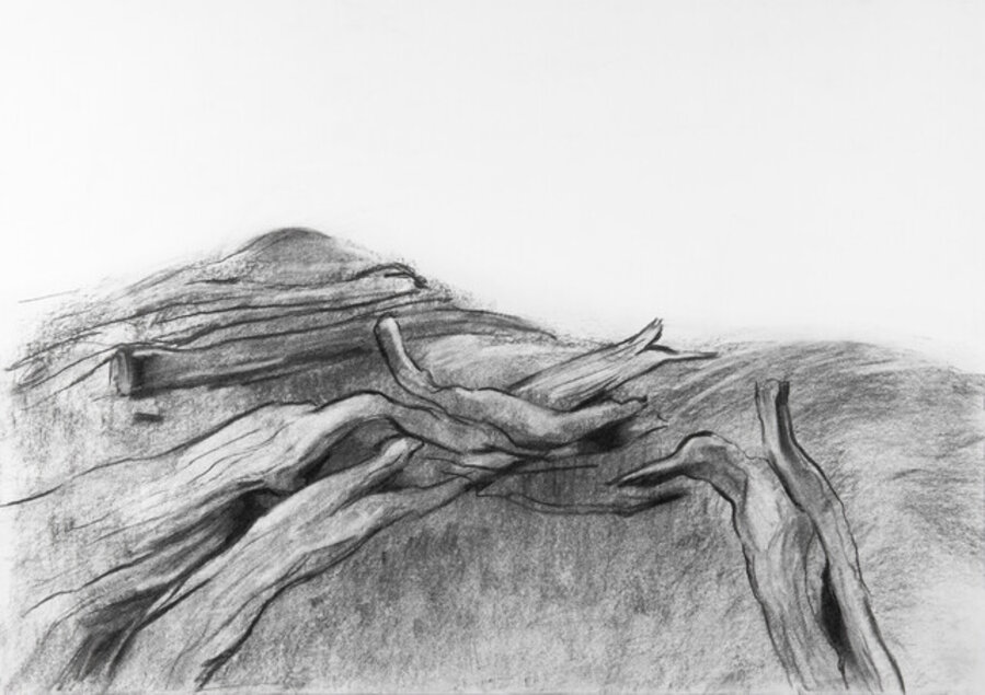 Untitled #2
