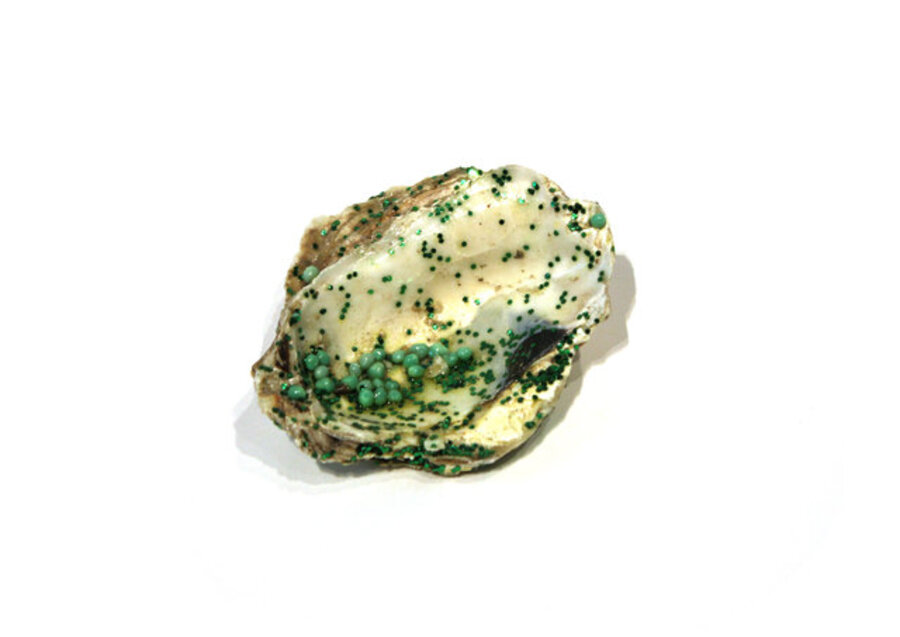 Oyster Shell
