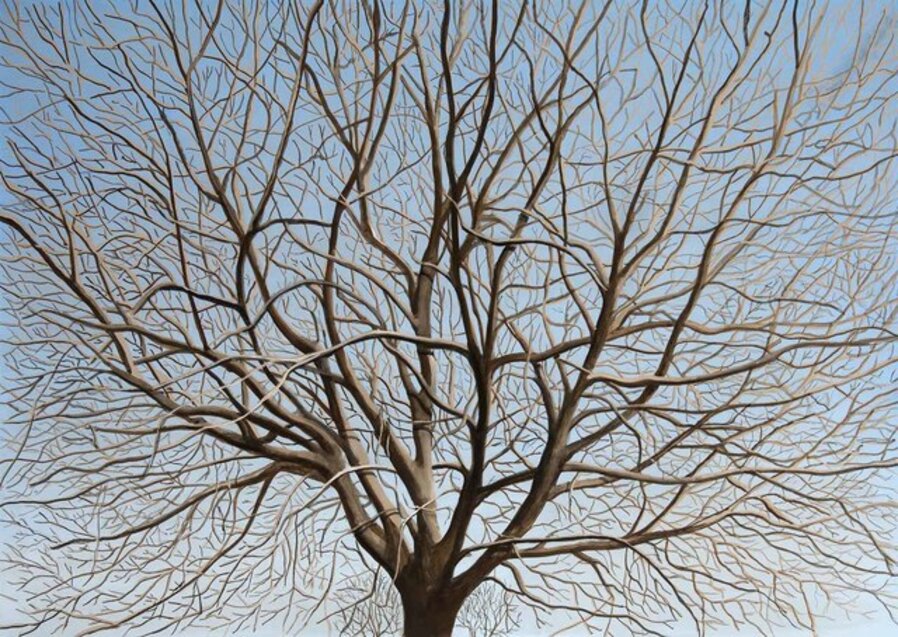 Boughs