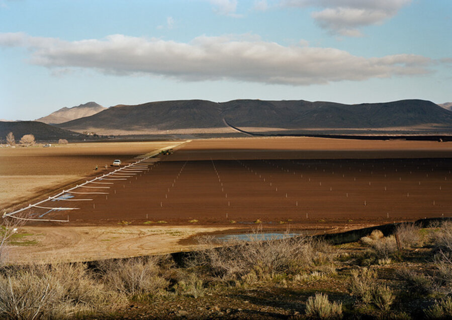 Untitled (Farm with workers), Jacumba, California