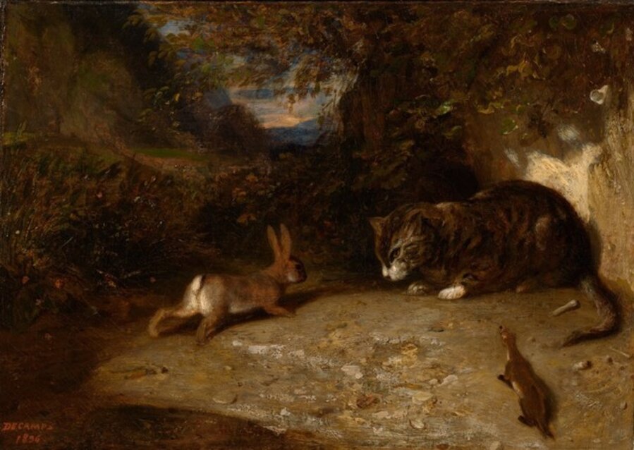 Cat, Weasel, and Rabbit
