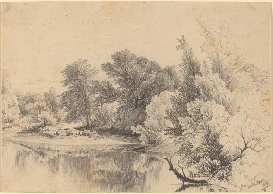 Pond Edge