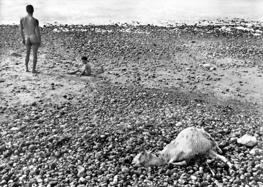 Ulysse, Fouli Elia and Ulysse Llorca, Saint-Aubin-sur-Mer, Normandy, France