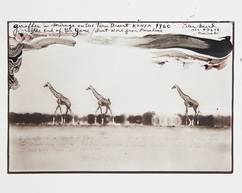 Peter Beard, ‘Giraffes in Mirage on the Tara Desert Kenya for the End of the Game/Last Word from Paradise’, 1960-executed later, Photography, Gelatin silver print with ink, Phillips