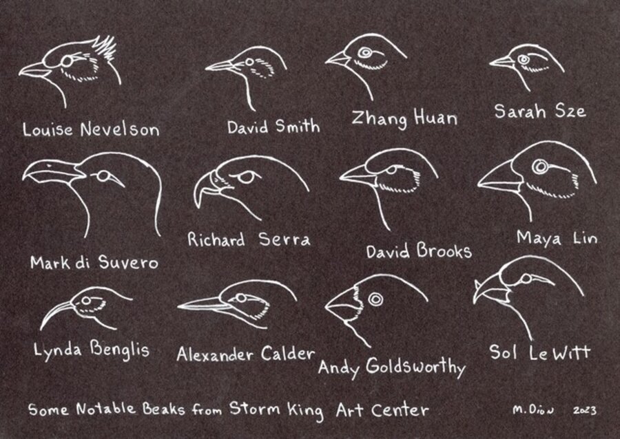 Some Notable Beaks of Storm King Art Center