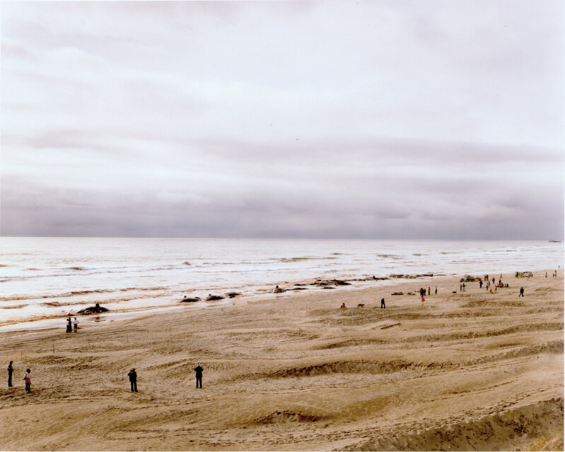 Joel Sternfeld, ‘Approximately 17 of 41 Sperm Whales Which Beached and Subsequently Died, Florence, Oregon, June ’, 1979, Photography, Dye transfer print, printed 1980s, Huxley-Parlour