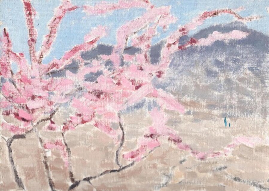 Wild Peach Blossom 山桃花