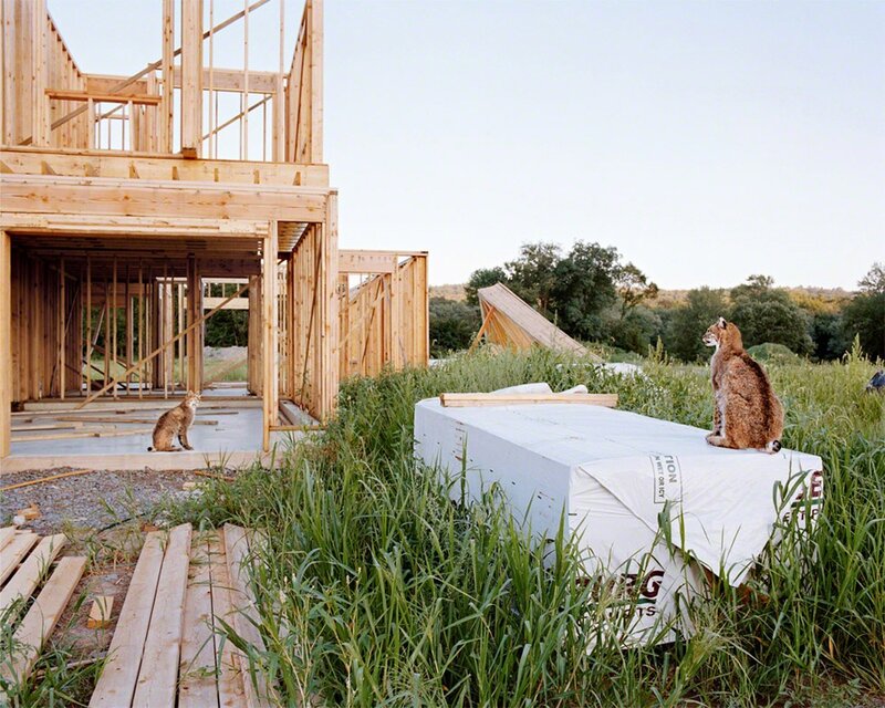 Amy Stein, ‘New Homes’, 2008, Photography, Digital C-print, CLAMP