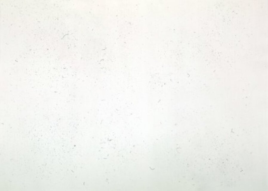 Dust Chaser 1