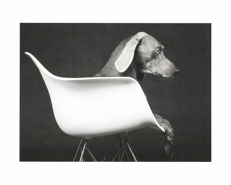 William Wegman, ‘"Untitled" Eames DAR Chair’, 2019, Photography, Screen Print, Oliver Clatworthy