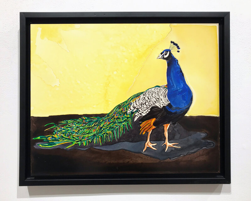 Annika Connor, ‘Peacock Profile’, 2010, Painting, Watercolor on board, The Untitled Space