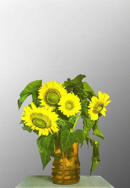 Michelangelo Pistoletto, ‘"Sunflowers"’