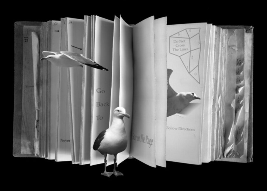 A Book of Broken Rules