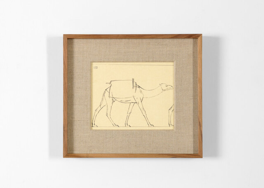 Camel Facing Right. Drawing Made While Crossing the Sahara