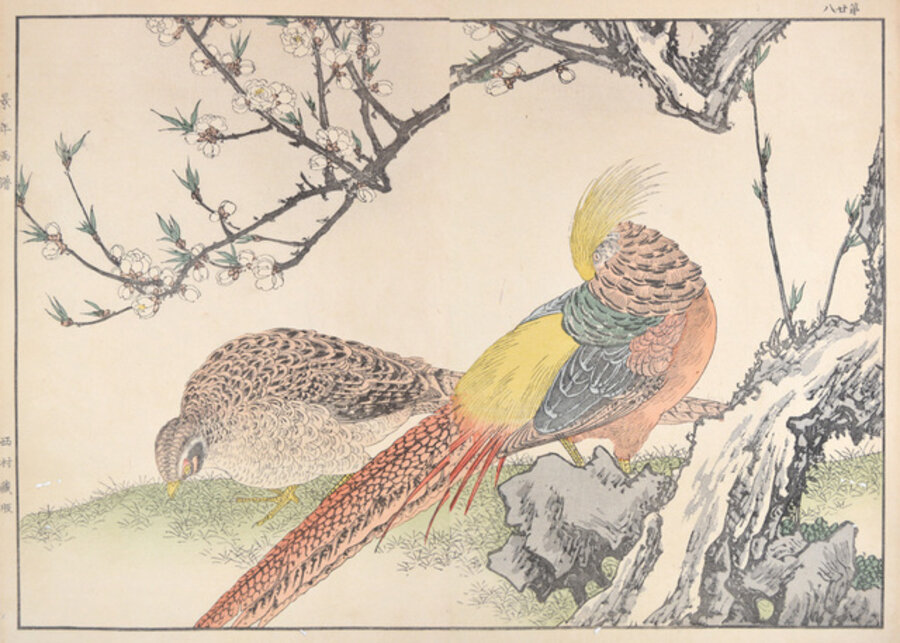 Golden Pheasant and Peach Blossoms
