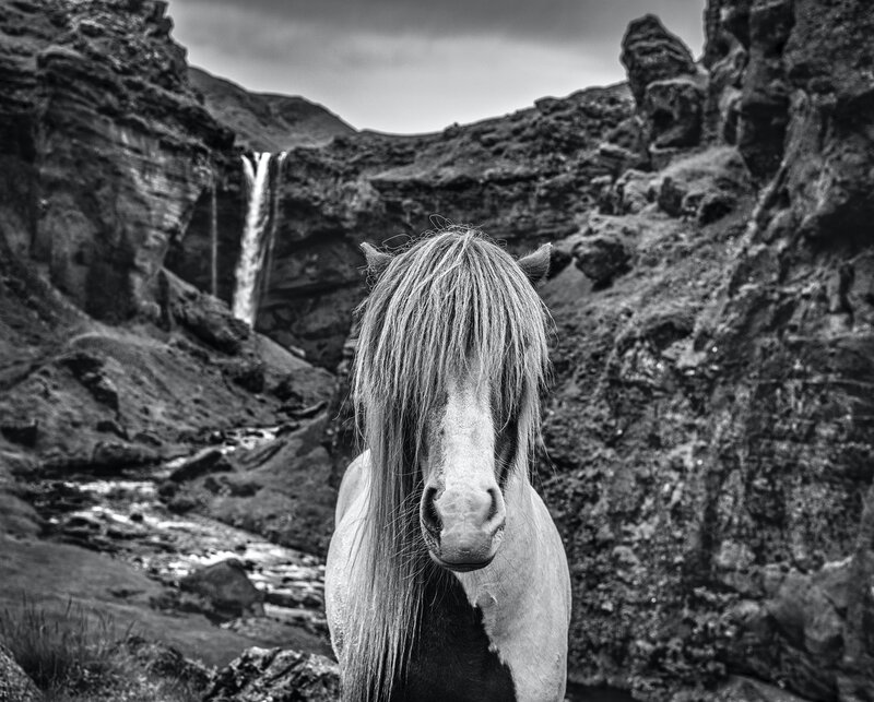 David Yarrow, ‘A River Runs Though In’, 2021, Photography, Technique: Archival Pigment Print, Petra Gut Contemporary